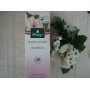 KNEIPP BODYLOTION Fiori Di Mandorlo