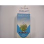 Vaillant-IMO Olio Essenziale Arancio Dolce - Favorisce Il Sonno